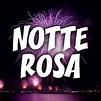 hotel plaza NOTTE ROSA 2015